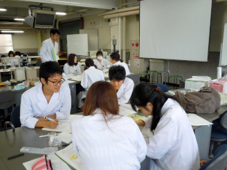 写真　学生による硬カプセルの観察