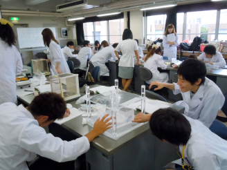 写真　学生による安息角の測定