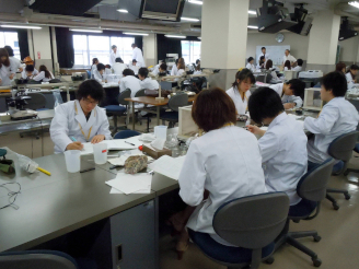 写真　学生による軟カプセルの観察