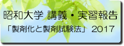 アイコン　昭和大学薬学部　講義・実習指導　201706-01